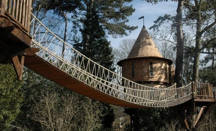 BlueForest Treehouses