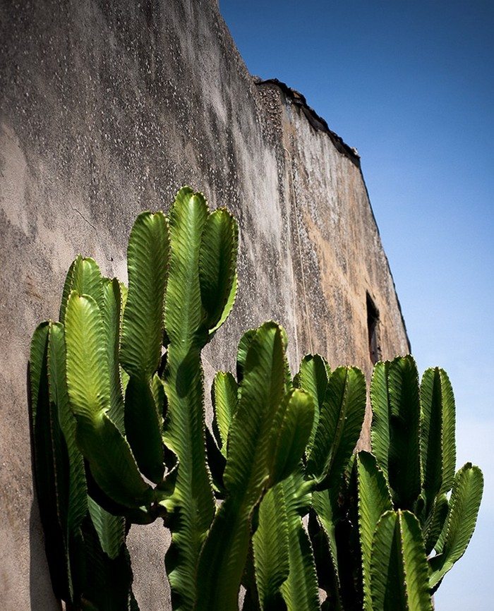 Casa Talia