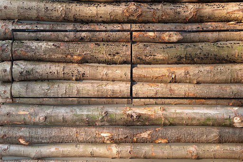 Log Cabin on Wheels