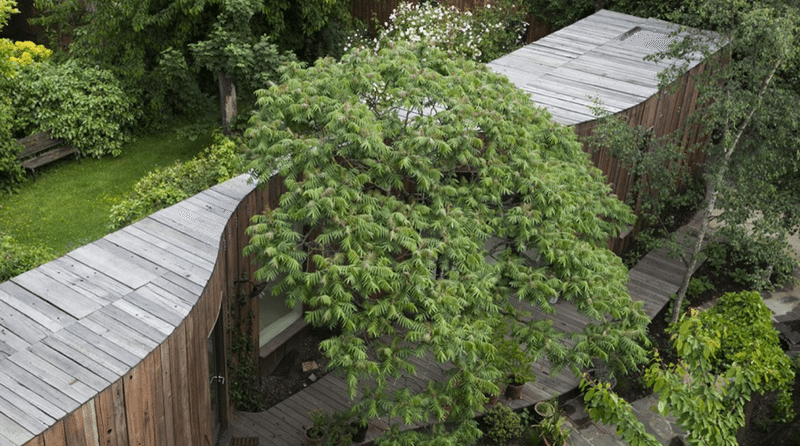 Taking the garden to the home in East London