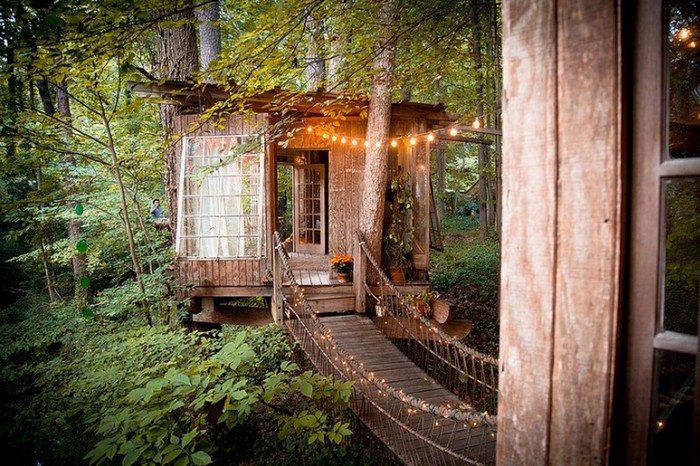 Magic Treehouse in the City