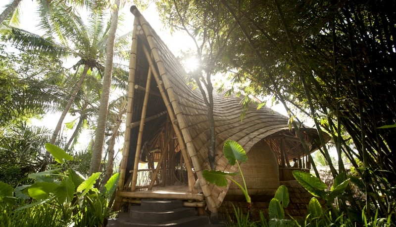 The Green Village