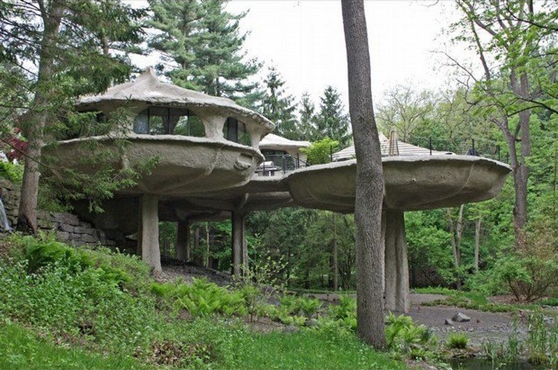 The Mushroom House