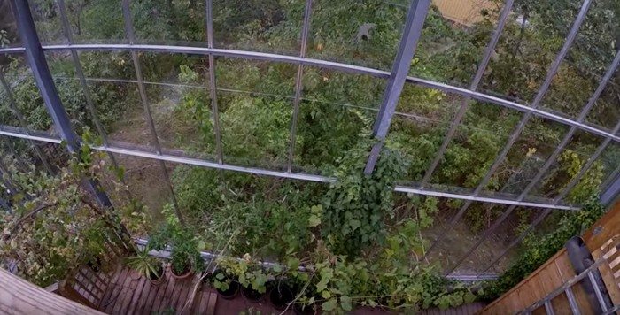Sacilotto and Granmar House in a Greenhouse