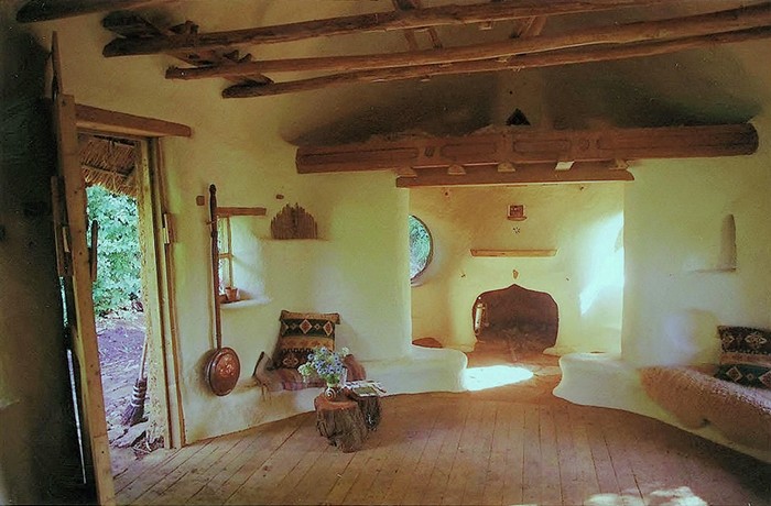Eco-friendly $250 Natural Home