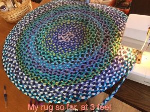Braided T-Shirt Rug Samples