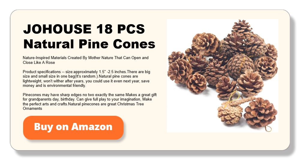 JOHOUSE 18 PCS Natural Pine Cones