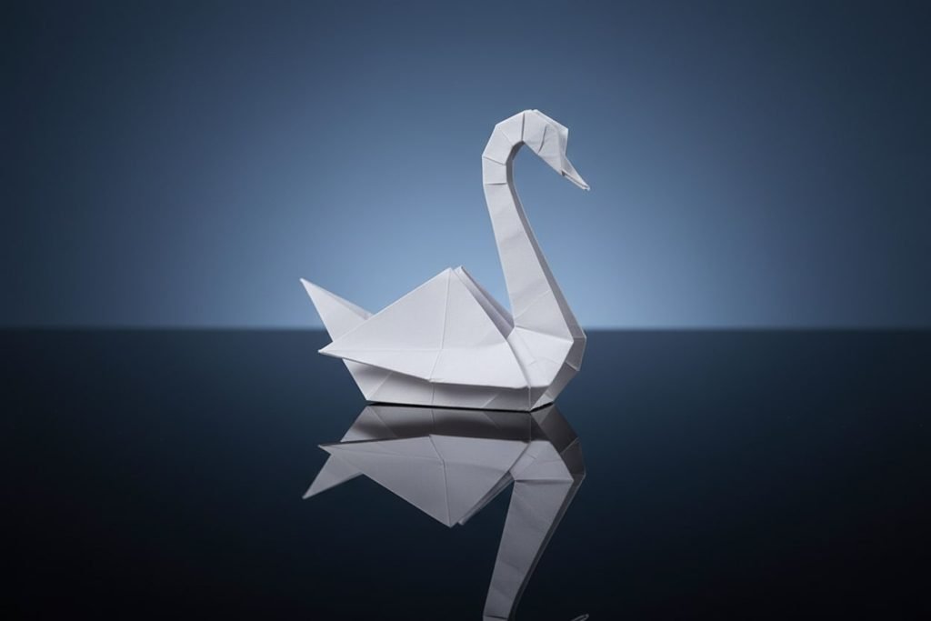 Elegant Studio Shot: A single white swan on a reflective dark surface with dramatic lighting.