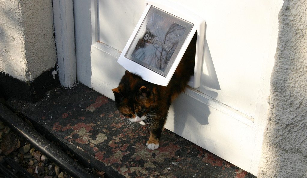 The right flap for the right cat for the right door.