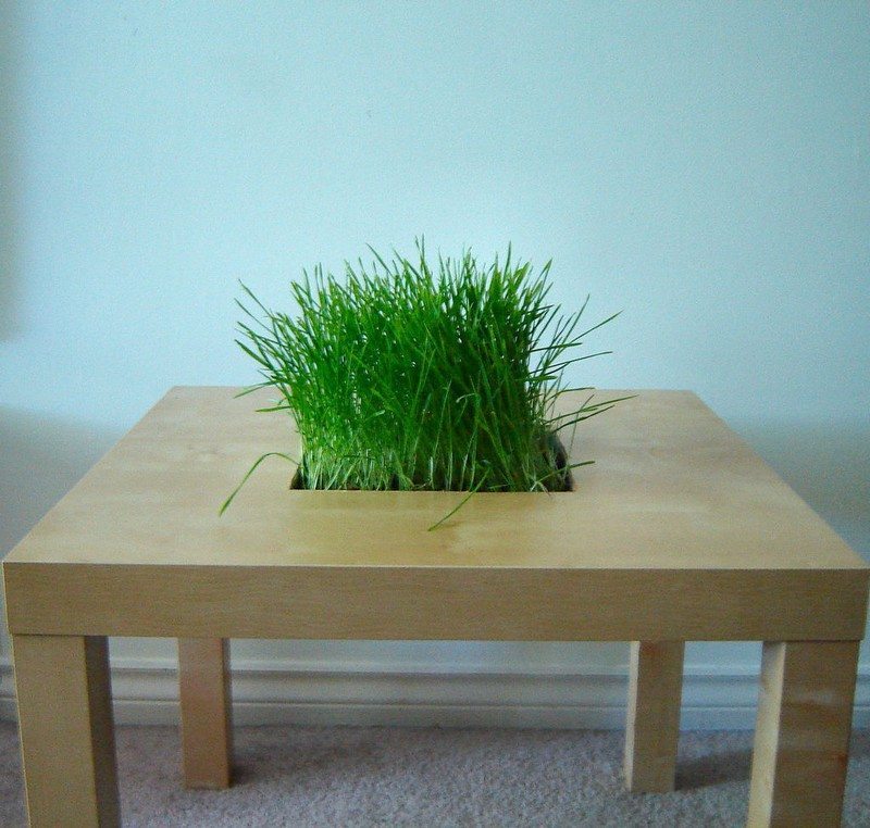 Modifying Table