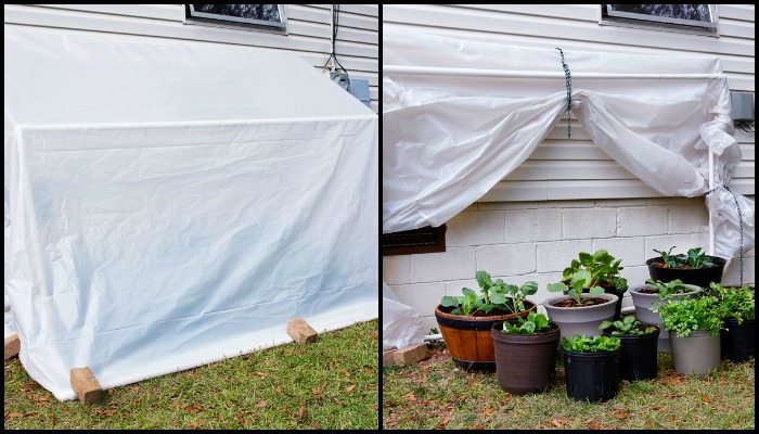 Fold-Down Greenhouse Main Image