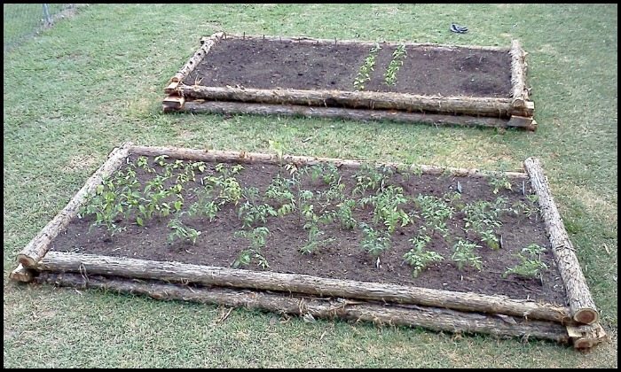 Log Raised Garden Bed Main Image