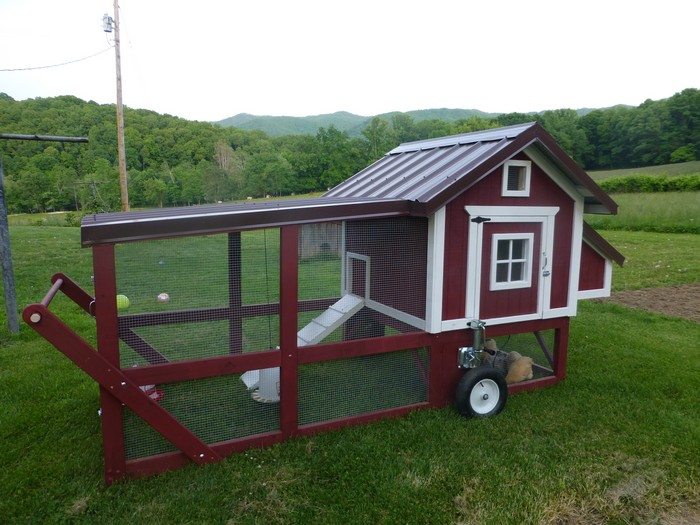 Chicken Tractor