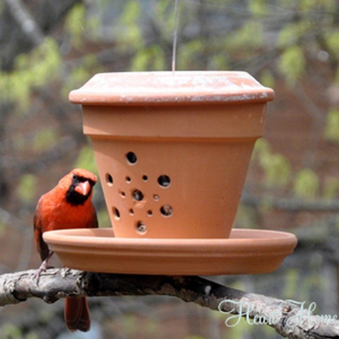 Terra Cotta Pot Bird Feeder