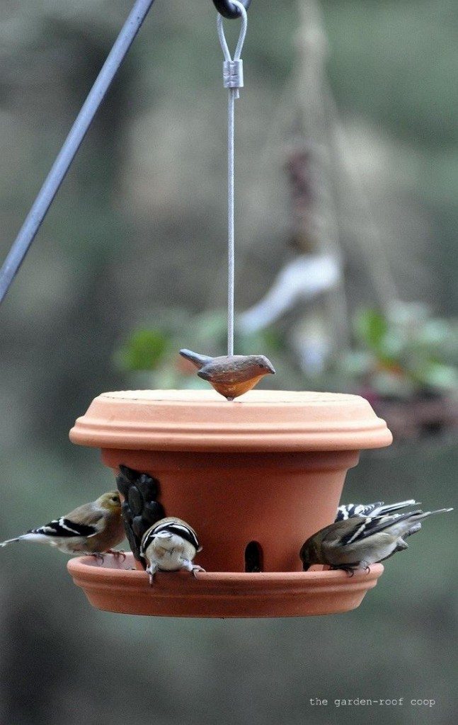 Terra Cotta Pot Bird Feeder