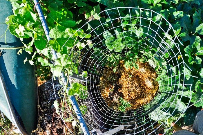 Wire Fencing Potato Tower