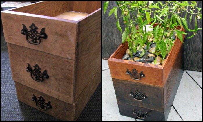 Self-Watering Dresser Drawer Planter Main Image