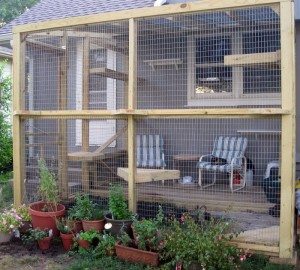 Outdoor Cat Run Enclosure
