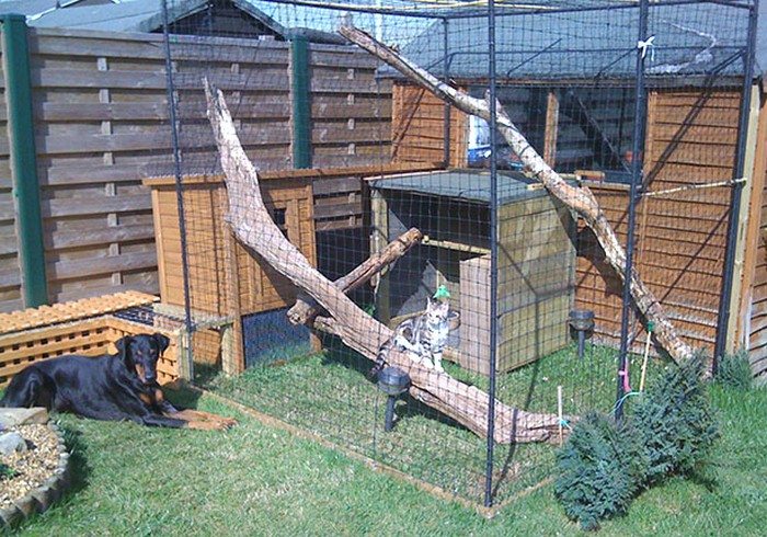 Outdoor Cat Run Enclosure