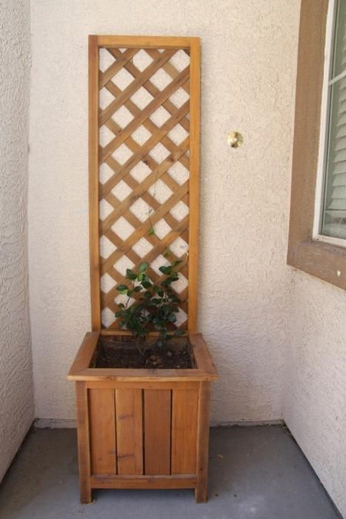 Garden Grow Box and Trellis Combo