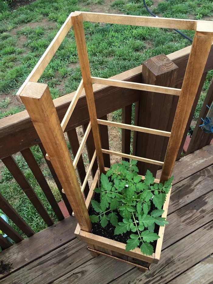 Garden Grow Box and Trellis Combo
