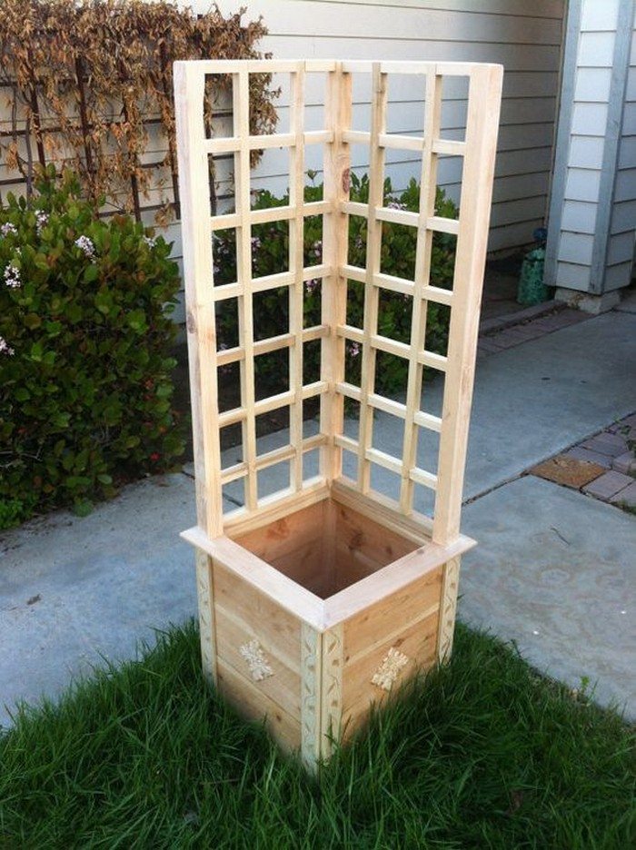 Garden Grow Box and Trellis Combo