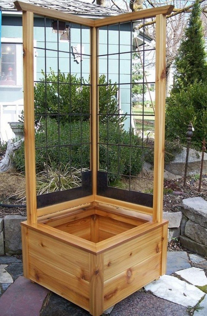 Garden Grow Box and Trellis Combo
