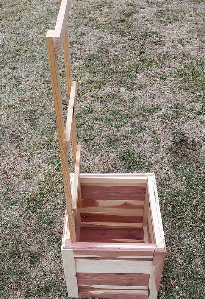 Garden Grow Box and Trellis Combo