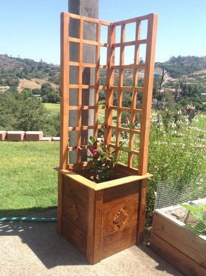Garden Grow Box and Trellis Combo