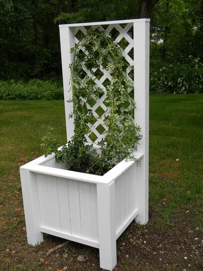 Garden Grow Box and Trellis Combo