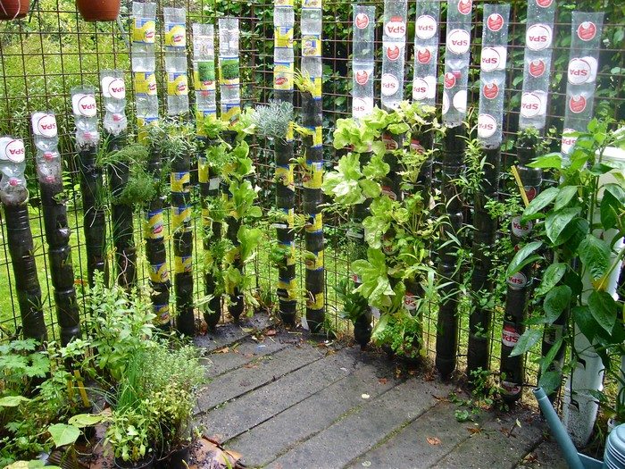 Recycled Soda Bottles Vertical Garden