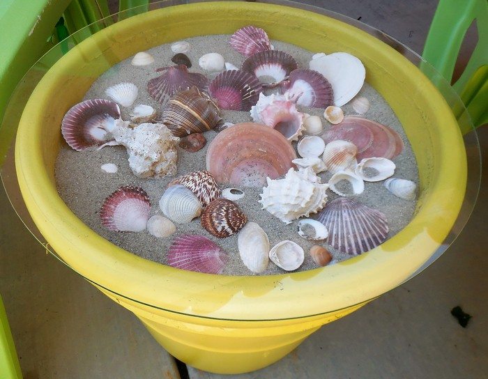 Seashell Coffee Table
