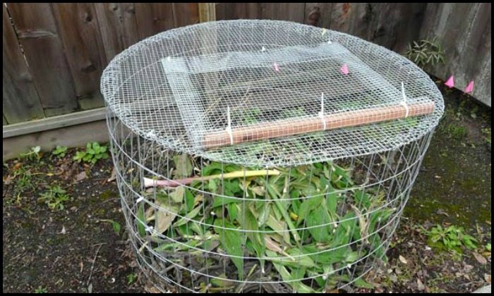 DIY Wire Mesh Compost Bin
