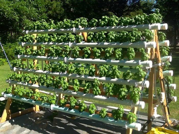 A-Frame Hydroponic System