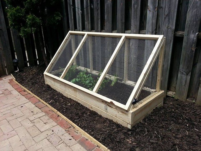 City Garden