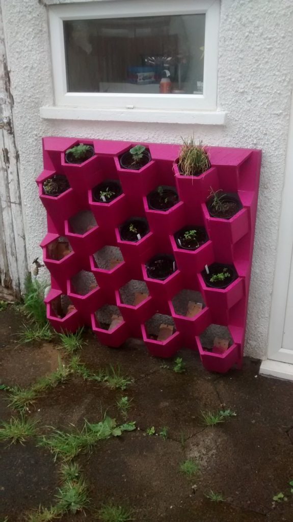 Herb Hive