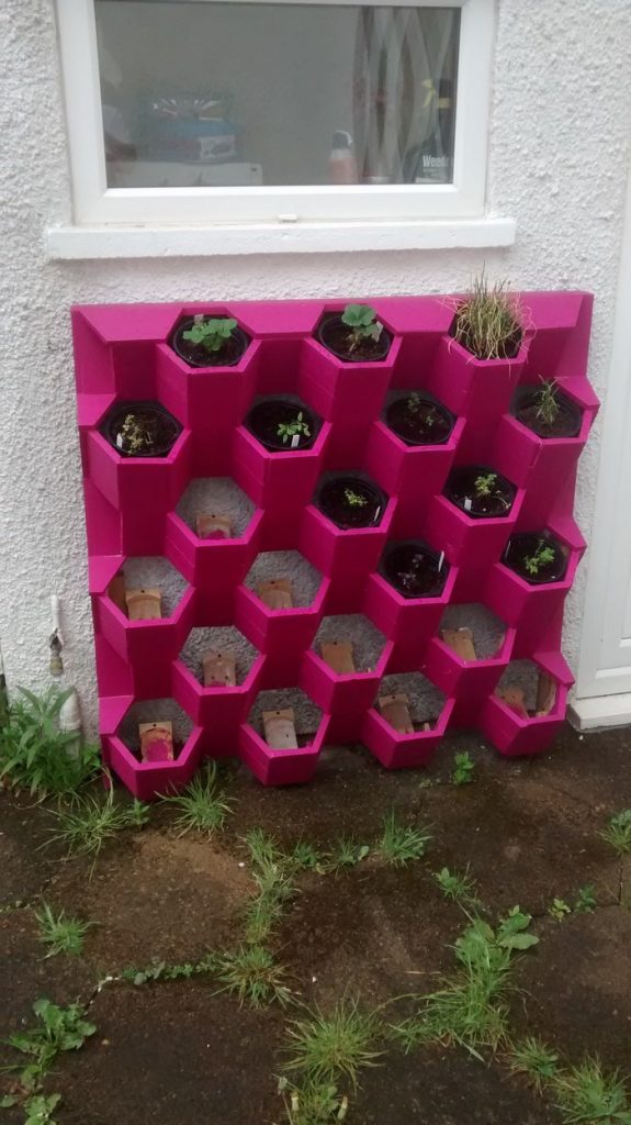 Herb Hive