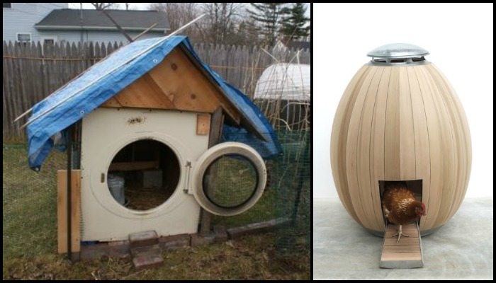 Alternative Chicken Coop Ideas