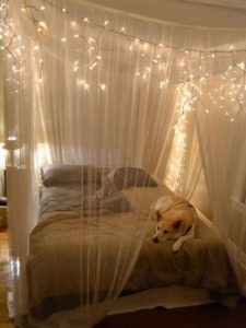 Bed Canopy with Lights