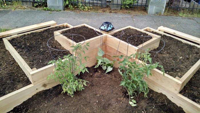 Tiered Garden Bed