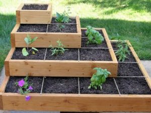 Tiered Garden Bed