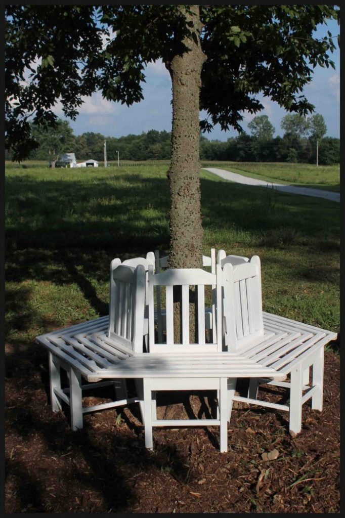 Bench Around a Tree from Kitchen Chairs