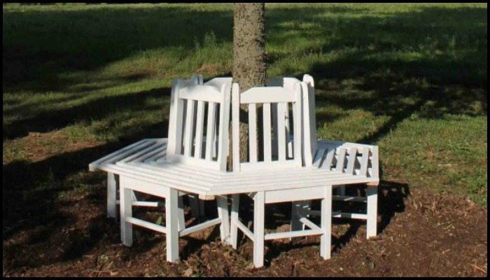 Bench Around a Tree from Kitchen Chairs