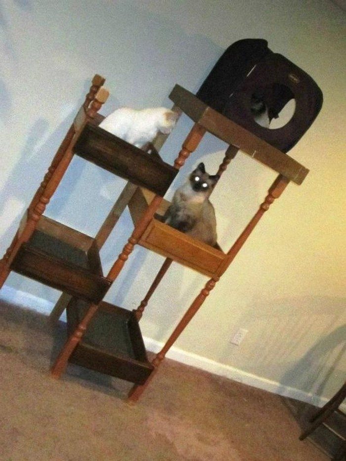 DIY Cat Tree