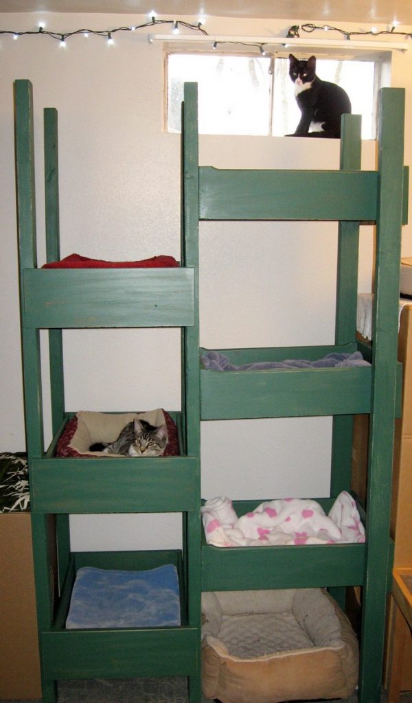 DIY Cat Tree