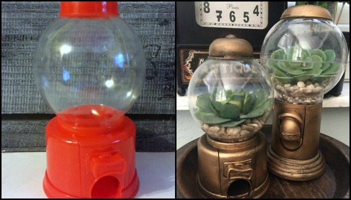 Gumball Machine Terrarium