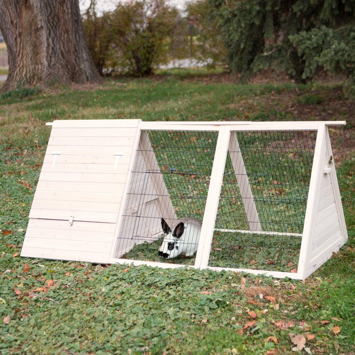 Building rabbit hatches