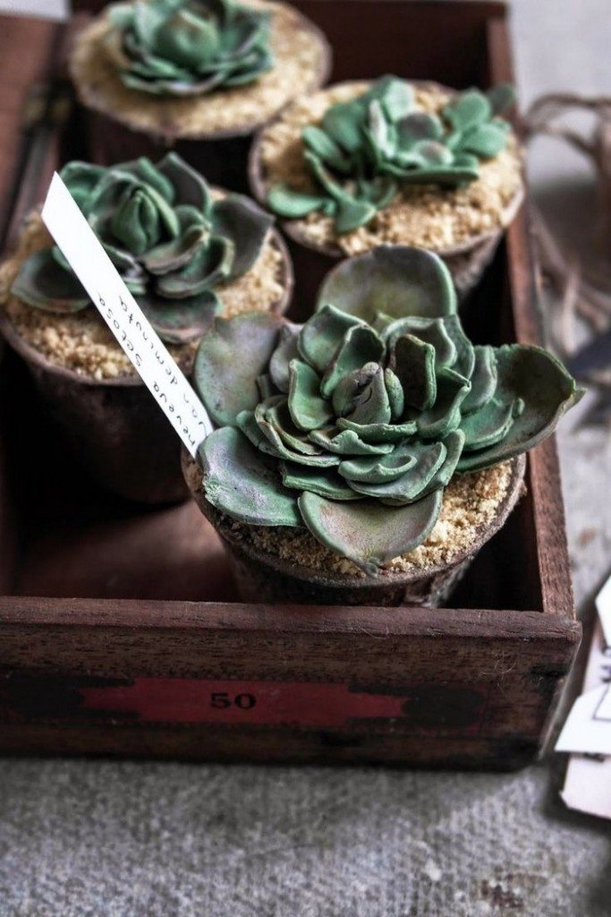 Succulent Cupcakes