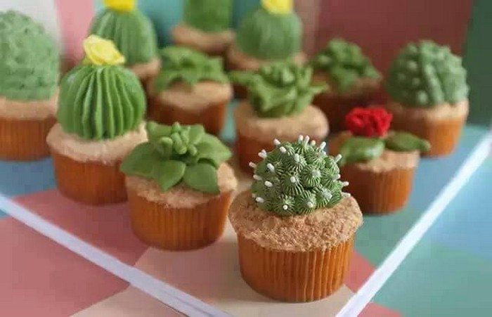 Succulent Cupcakes