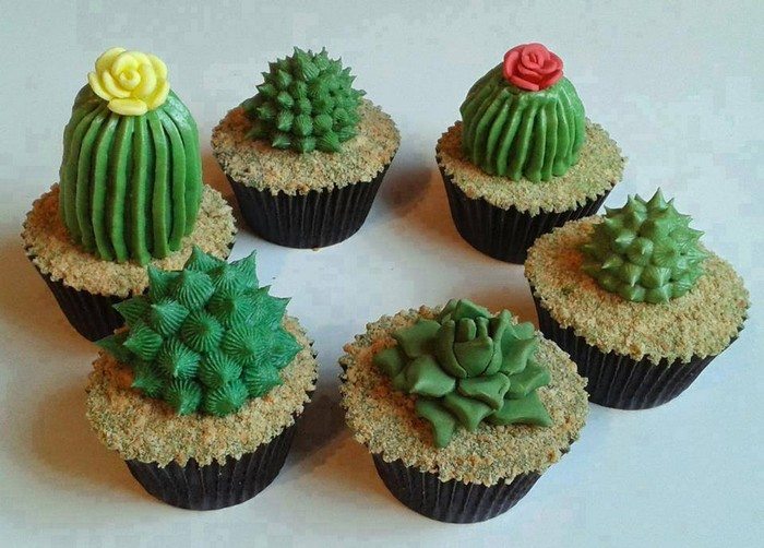 Succulent Cupcakes